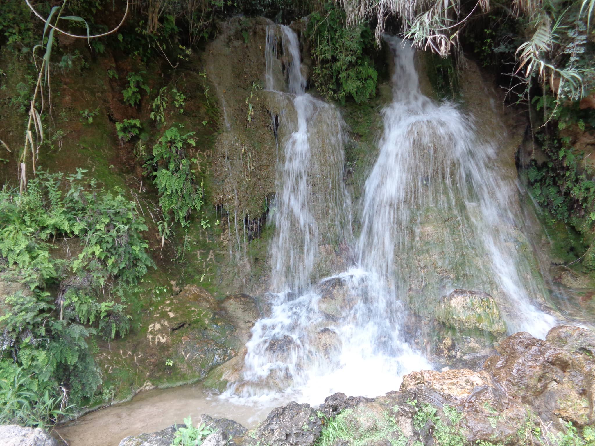 Secluded Haven