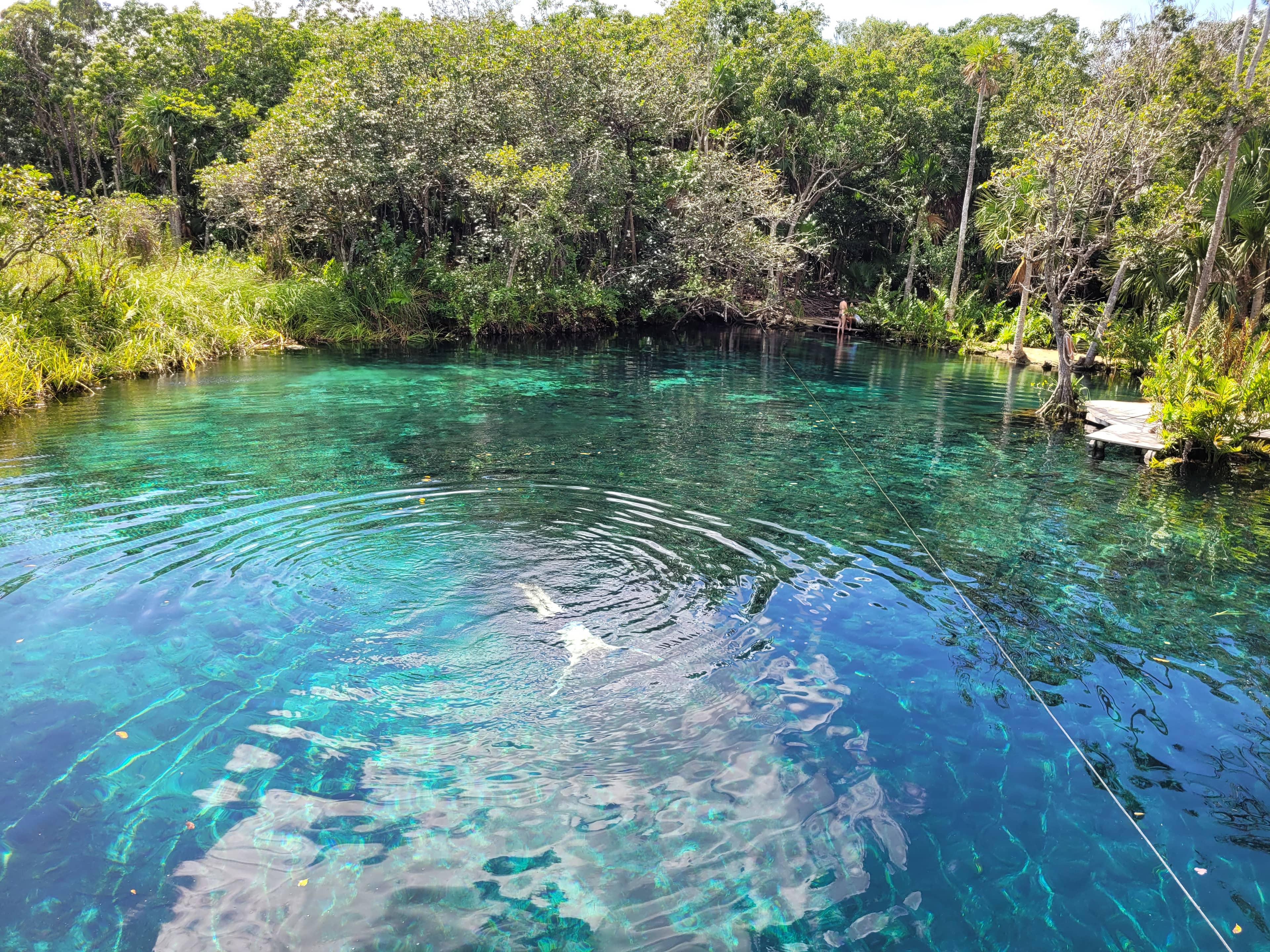 Cenote Exploration