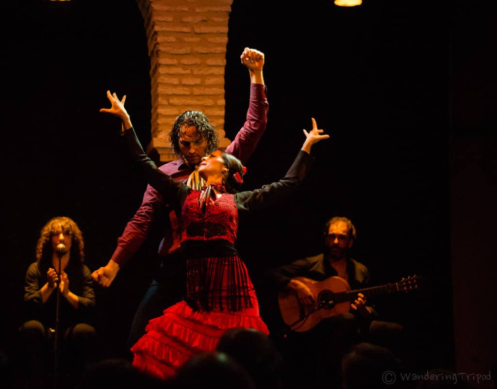 Flamenco Show