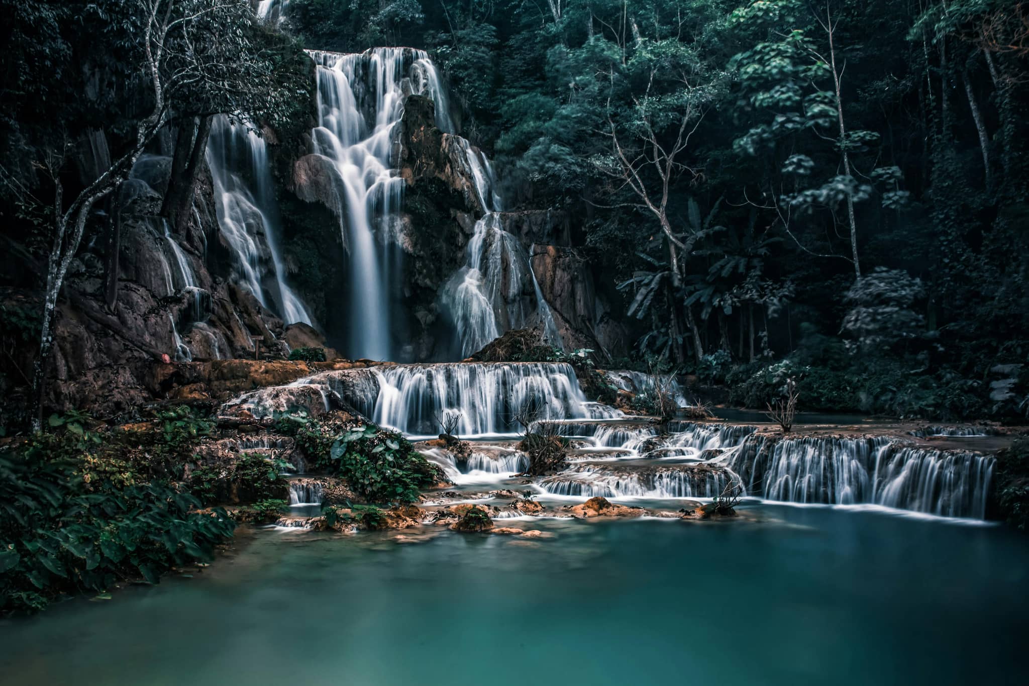 Dream Forest Pond & Waterfall