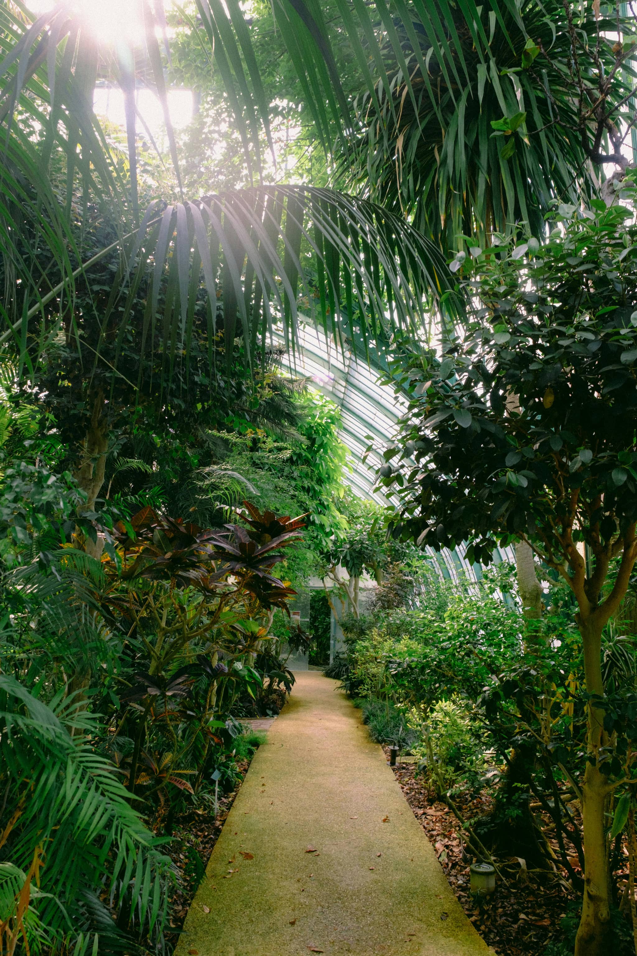 Tropical Greenhouse