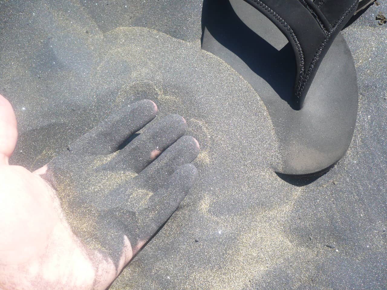 Muriwai Black Sand Beach