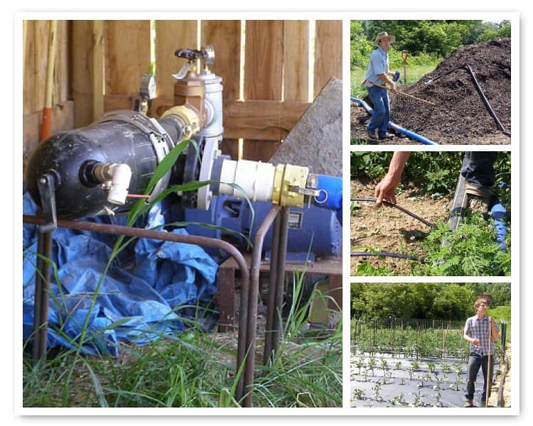 Vibrant Plants & Flowers