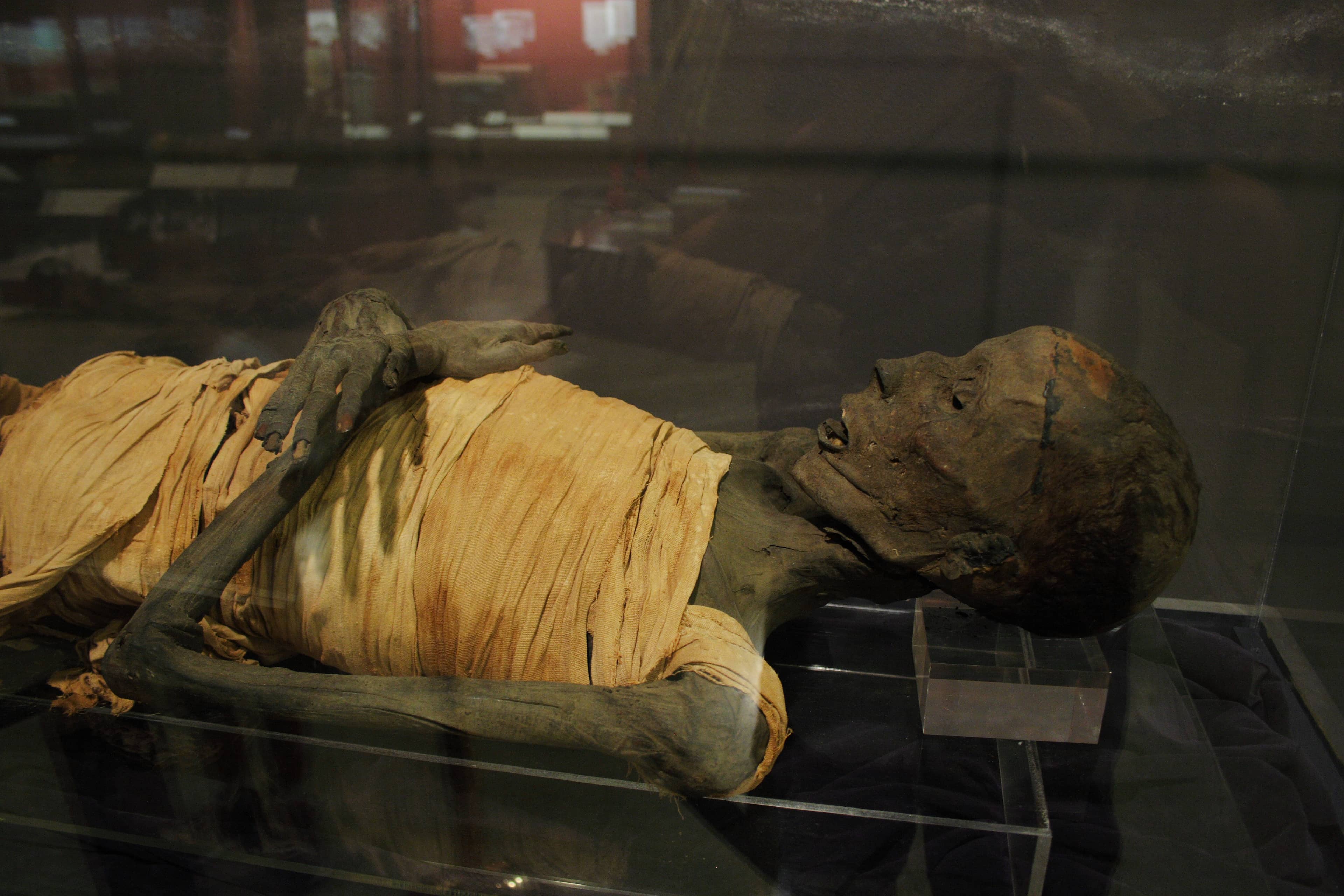 Egyptian Sarcophagi & Mummy