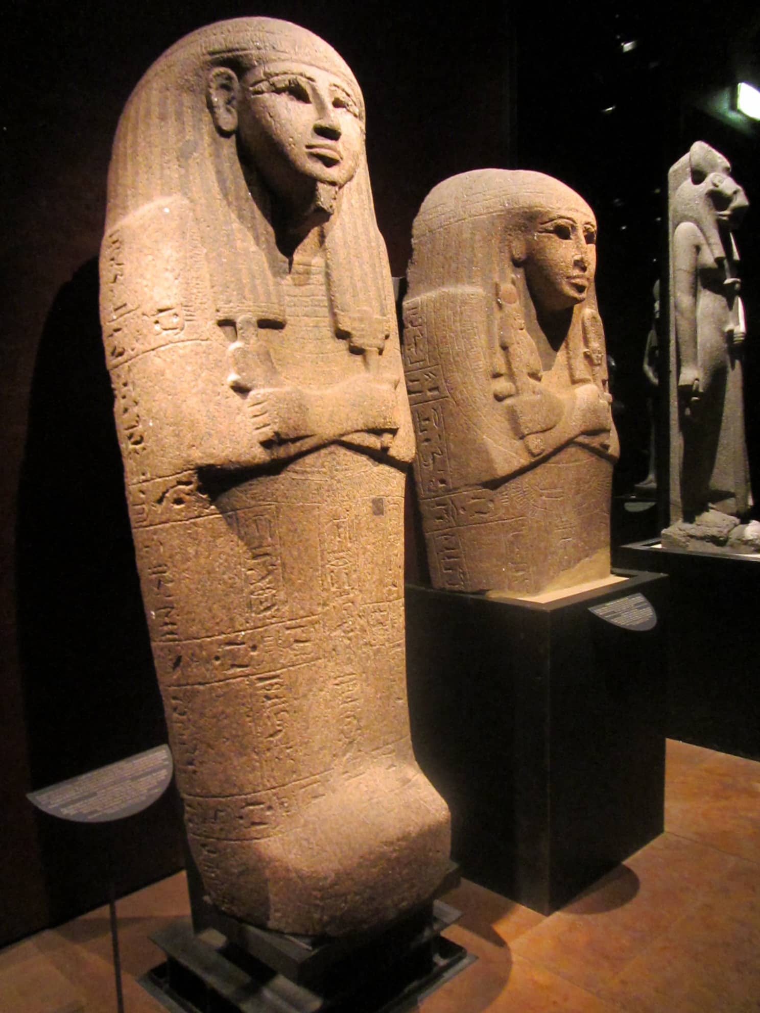 Mummies and Sarcophagi