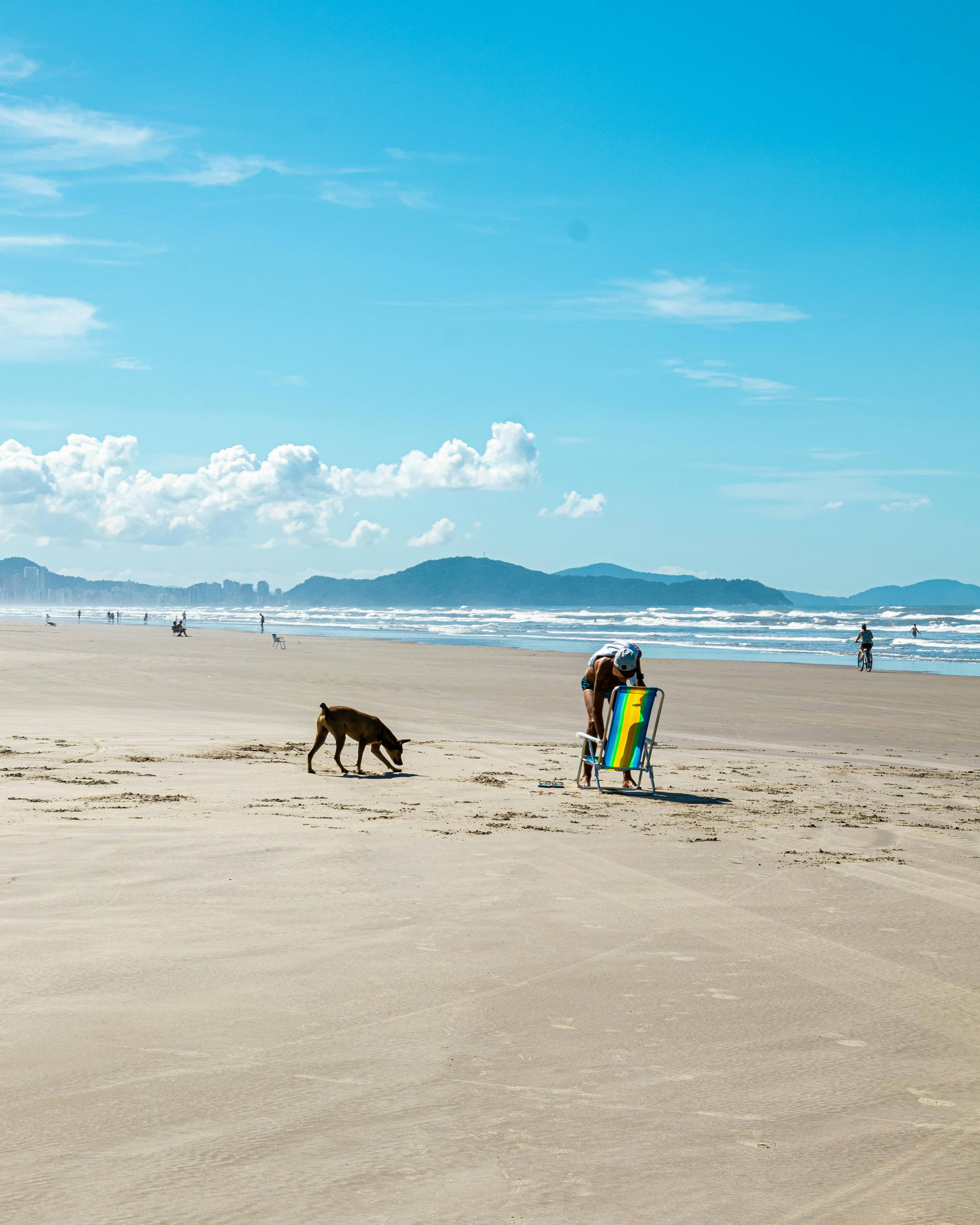 Relaxing Beach Vibes