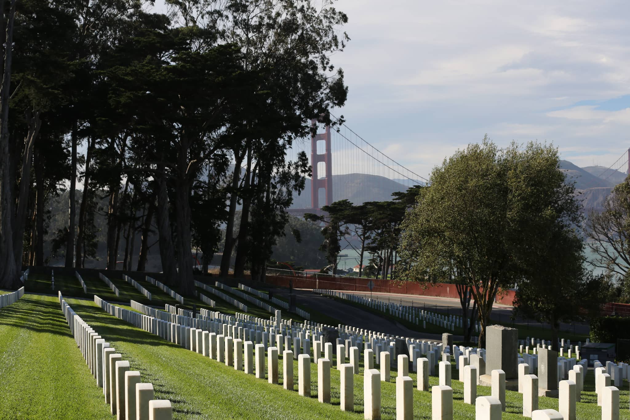 Golden Gate Views