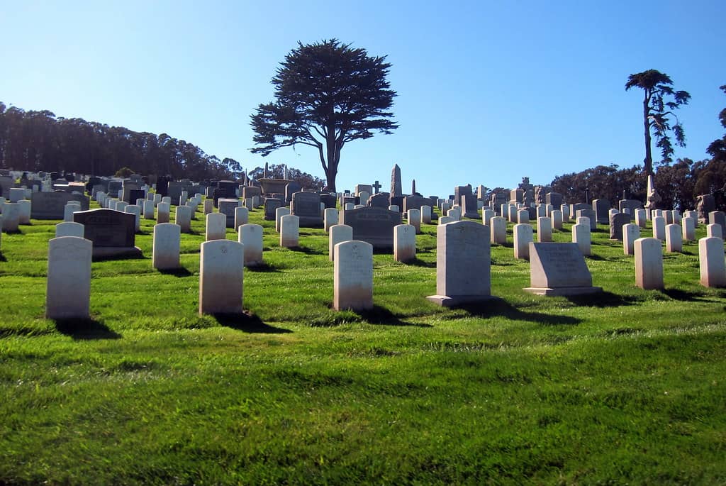 Historic Burial Plots