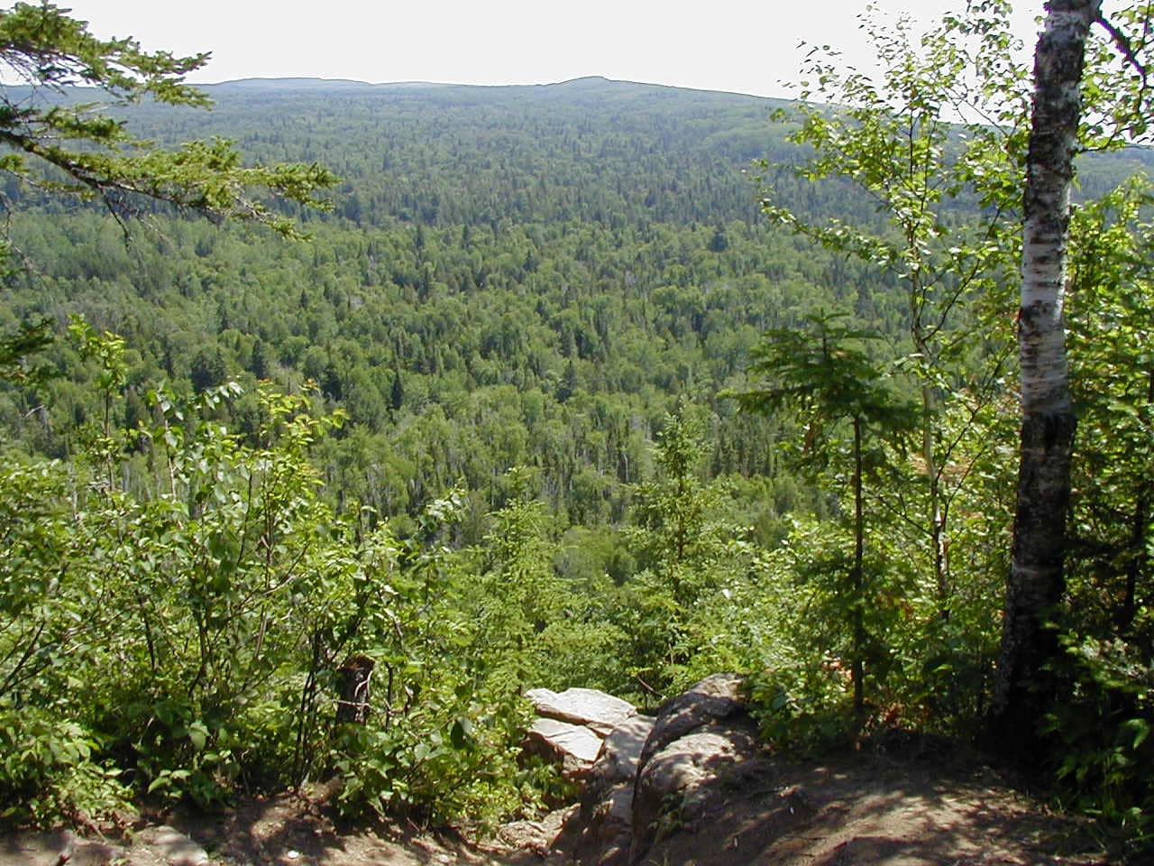 Lookout Mountain Park Trails