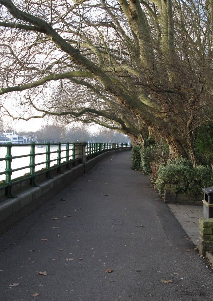 Bishops Park Riverside
