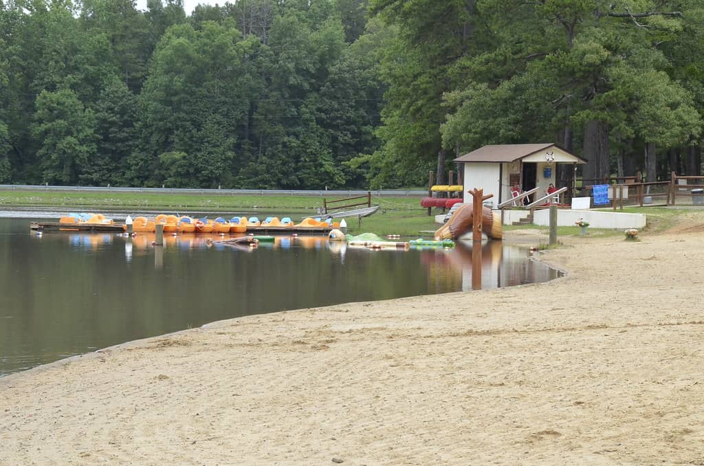 Designated Swim Area