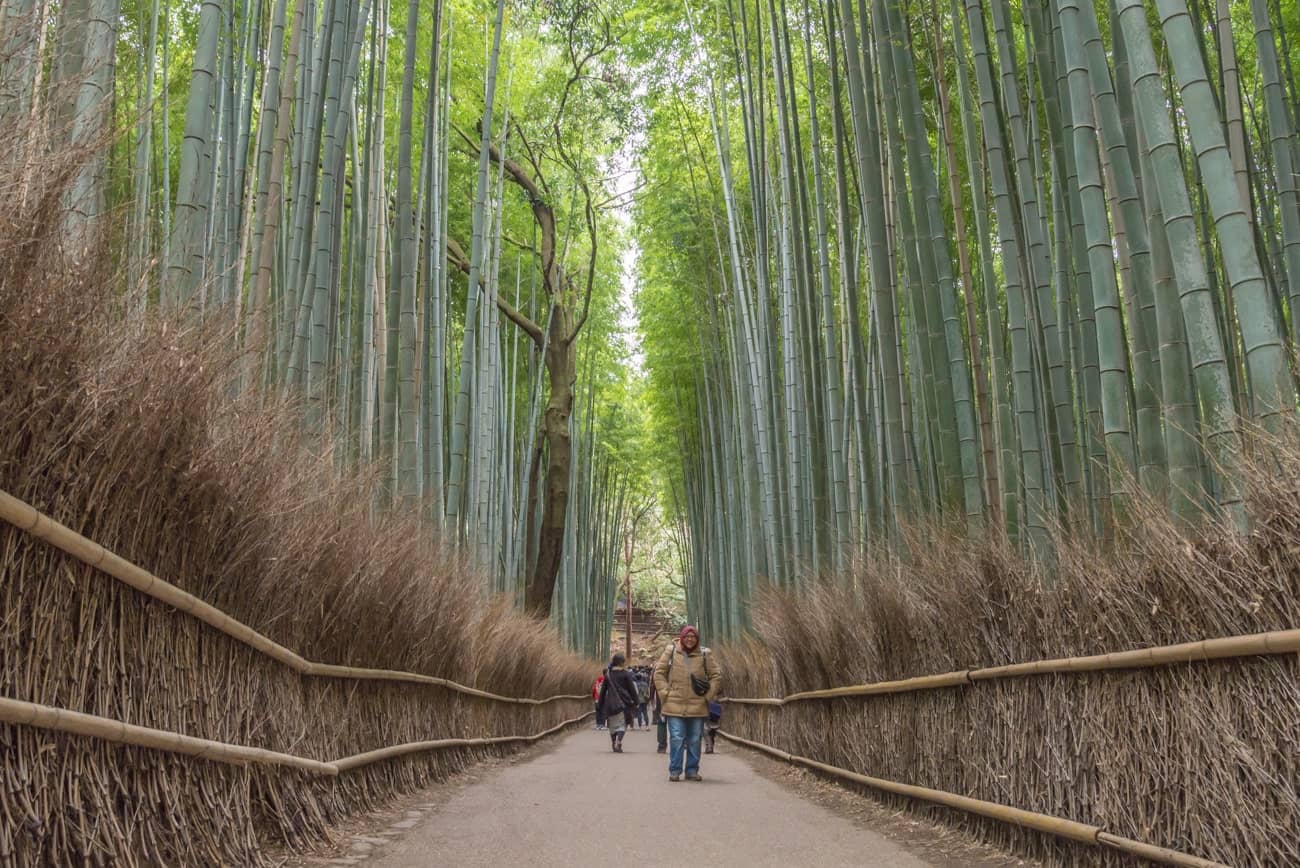 Arashiyama Bamboo Grove