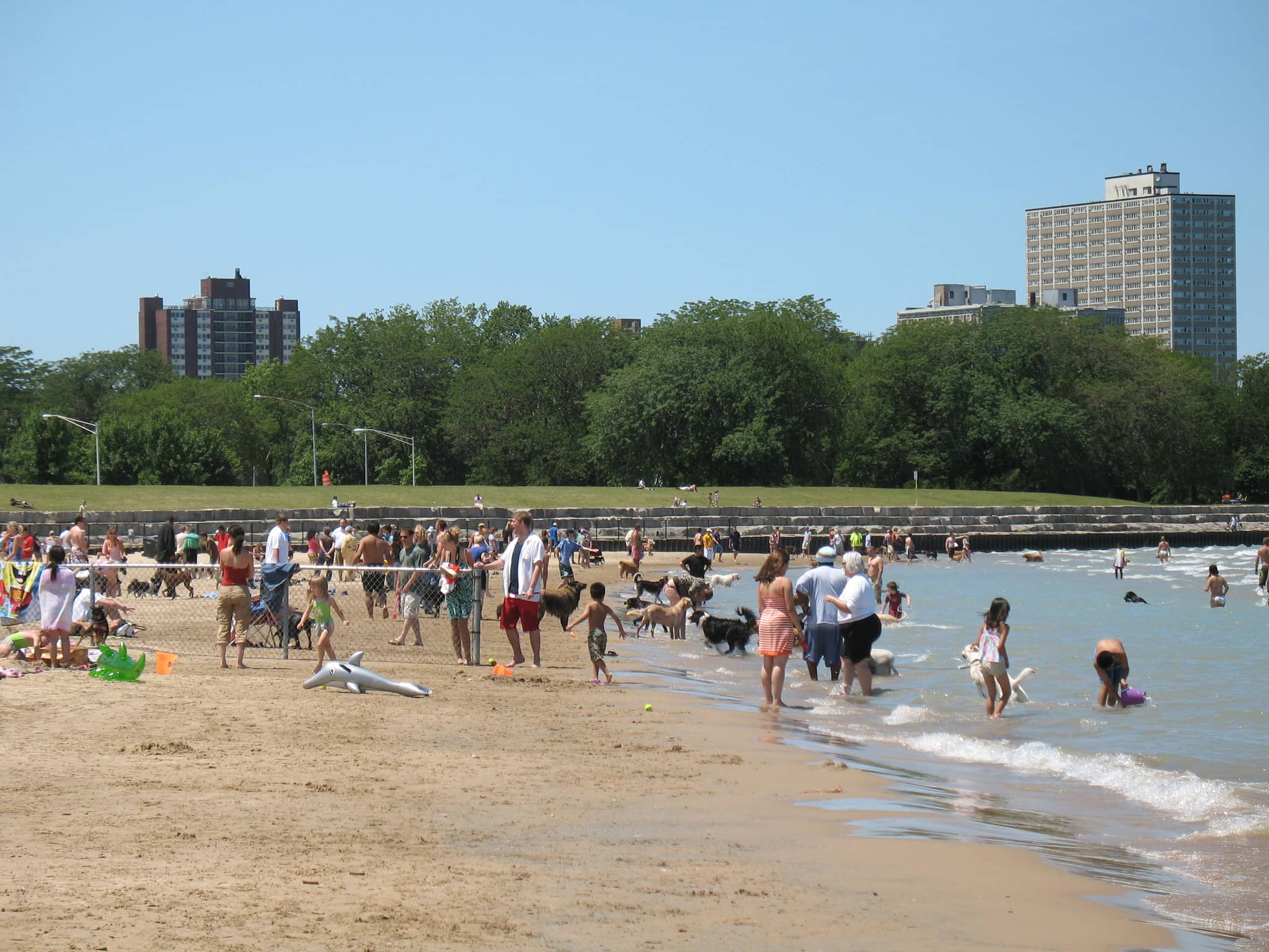 Dog Beach Access