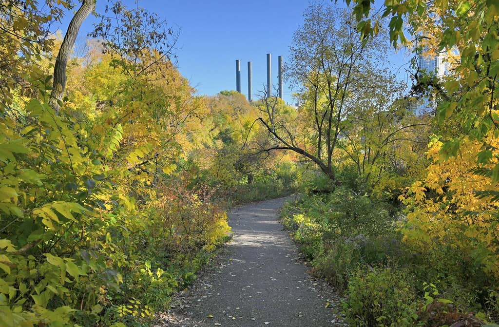 Riverside Trails