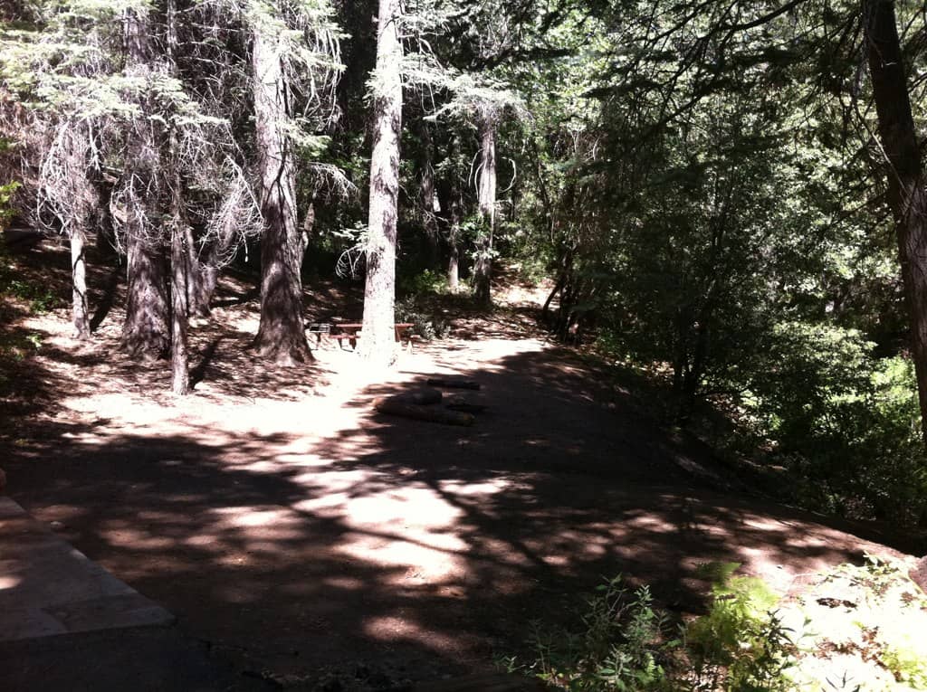 Palomar Mountain State Park