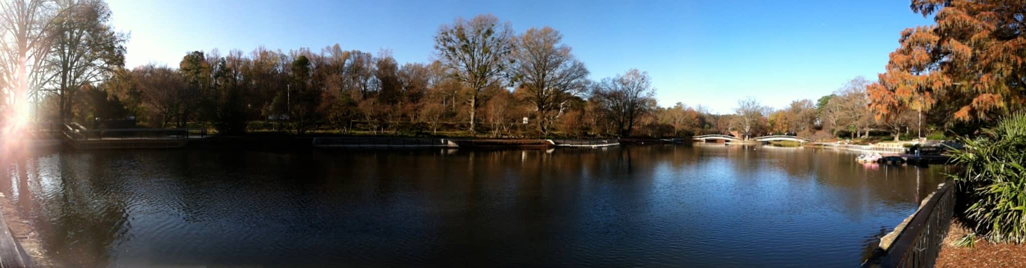 Paddle Boats