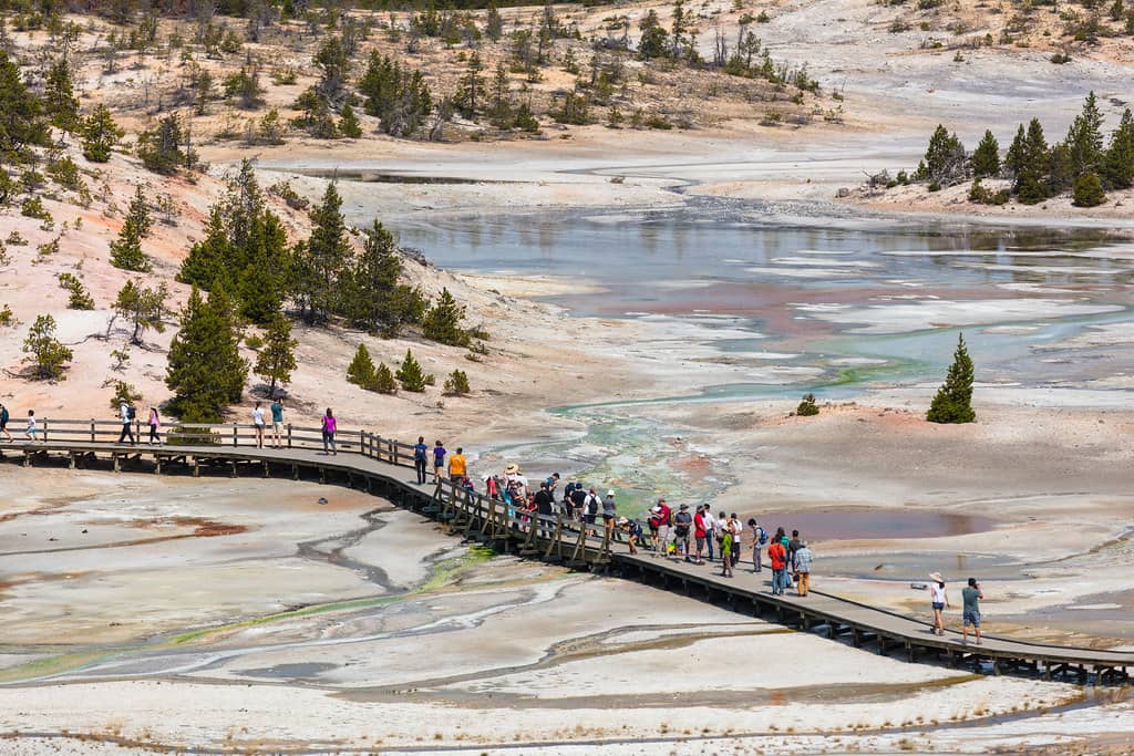 Norris Geyser Basin Exploration