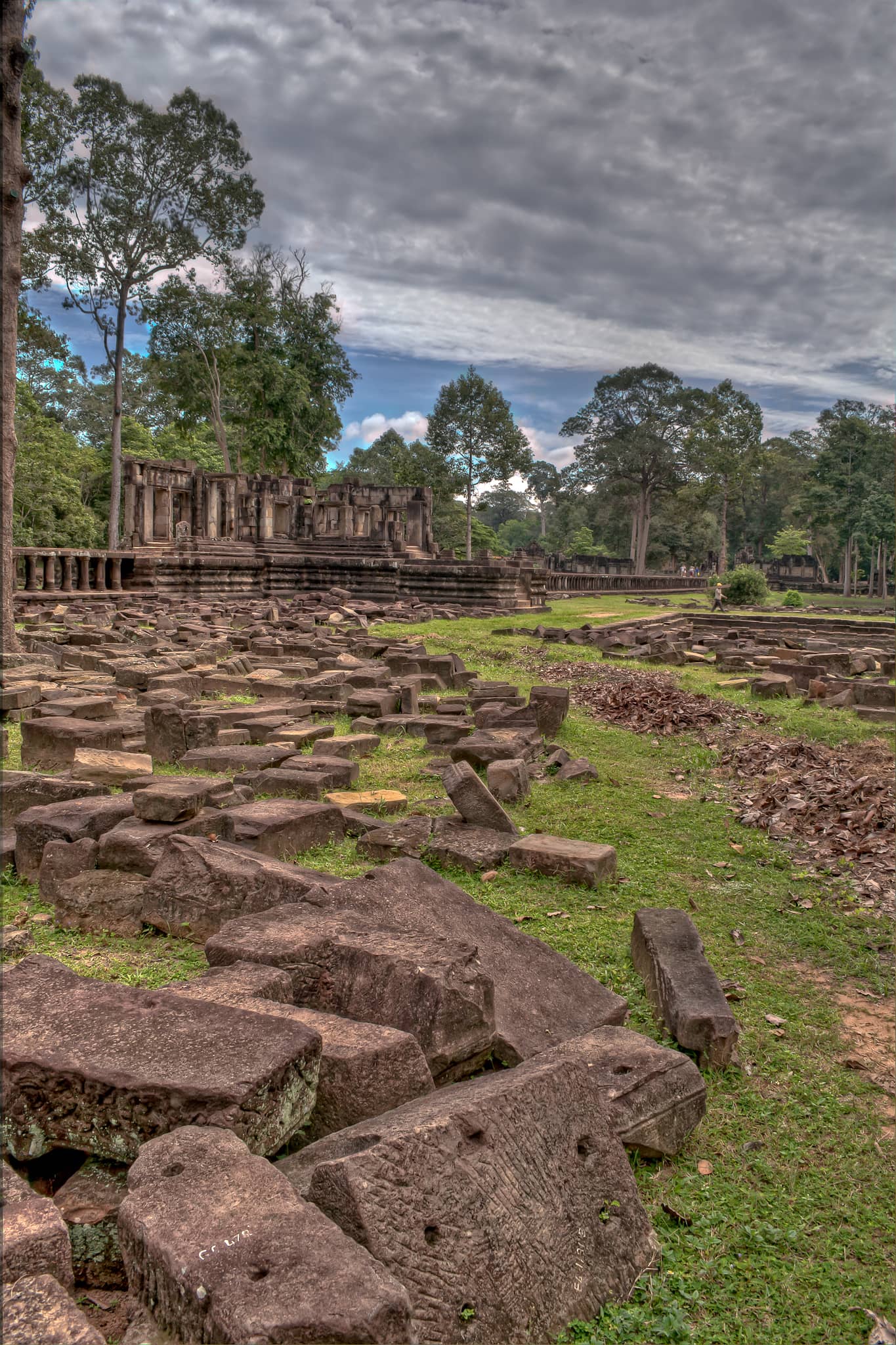 Local Life and Nature