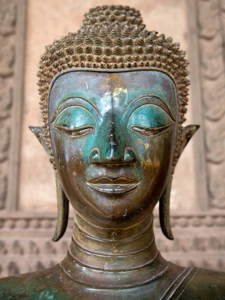 Buddha Statues Collection