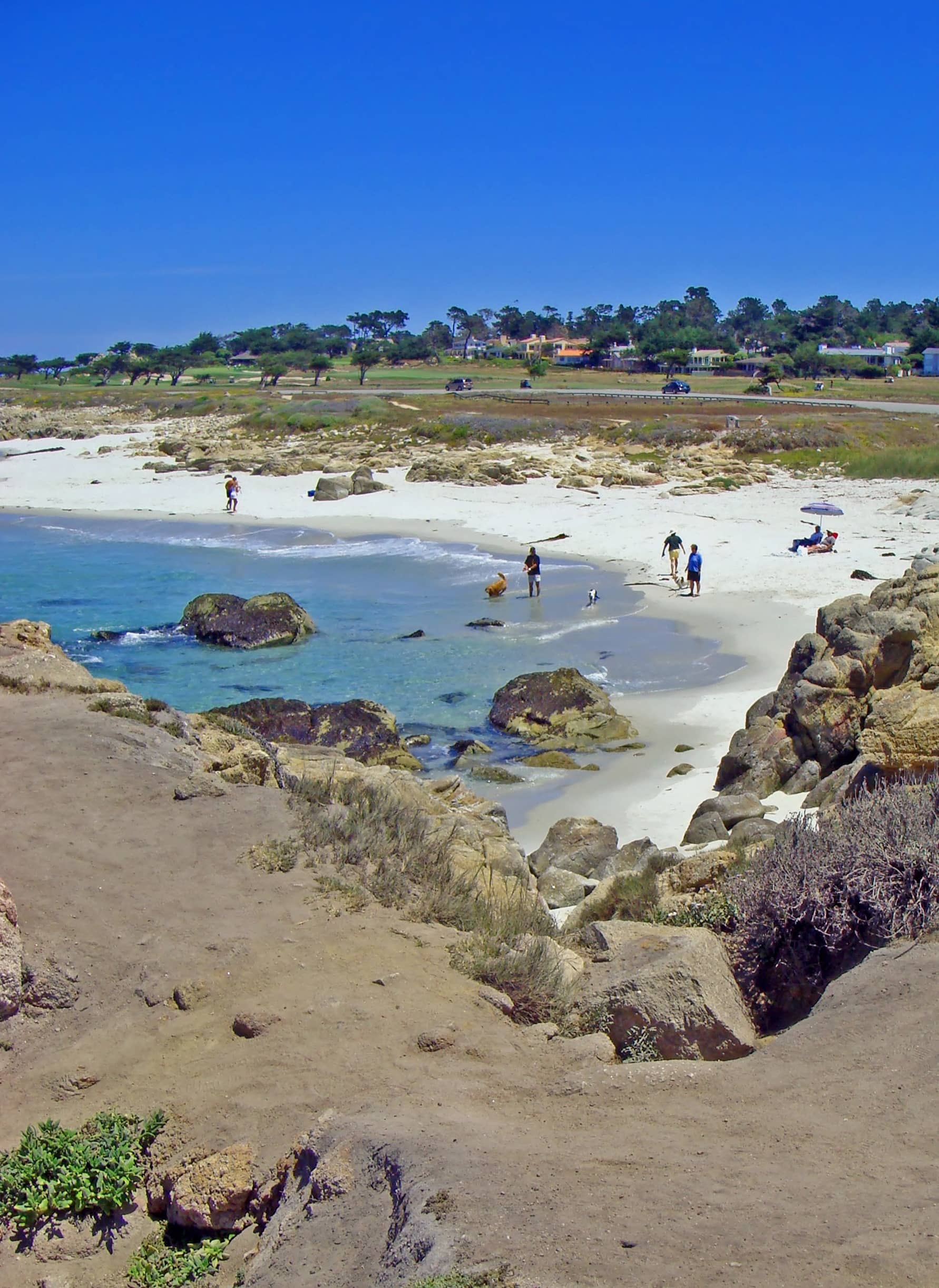 The 17-Mile Drive