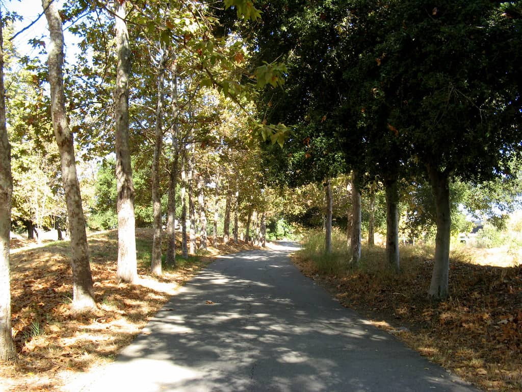 Guadalupe River Trail Access