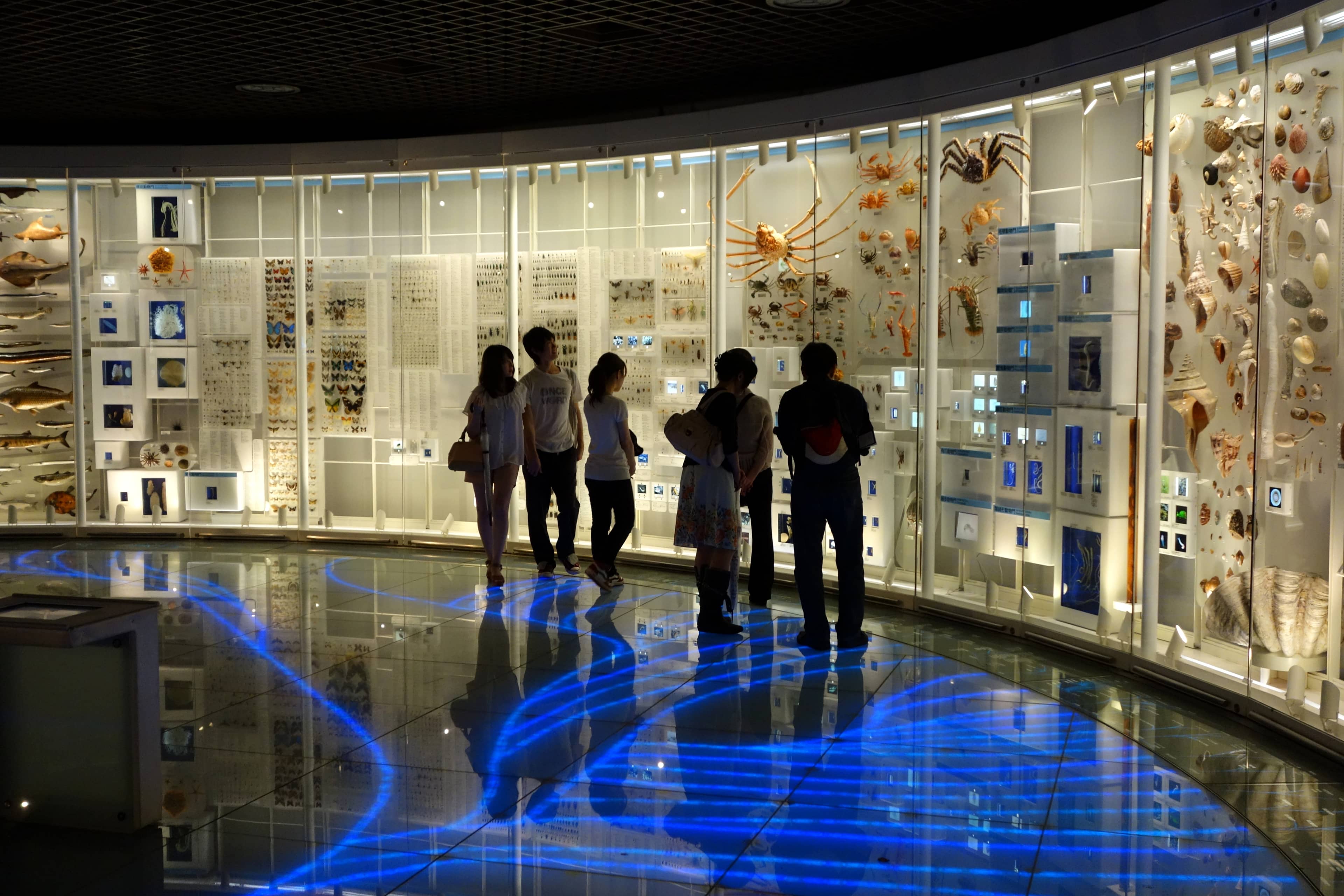 Interactive Science Exhibits