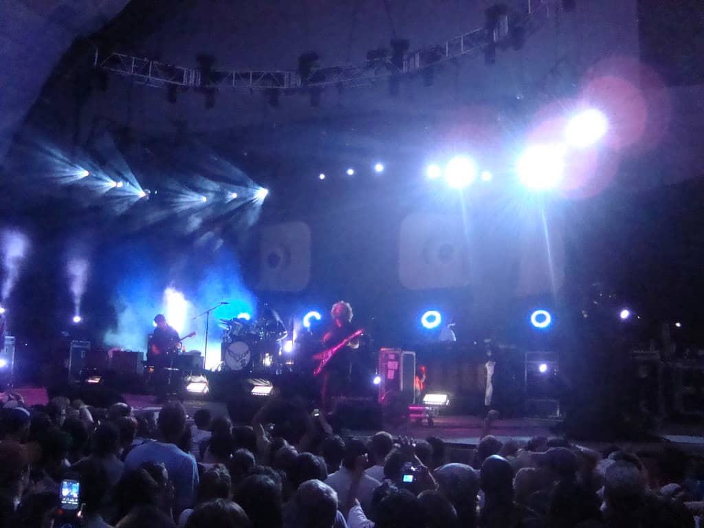 Live Music & Performances