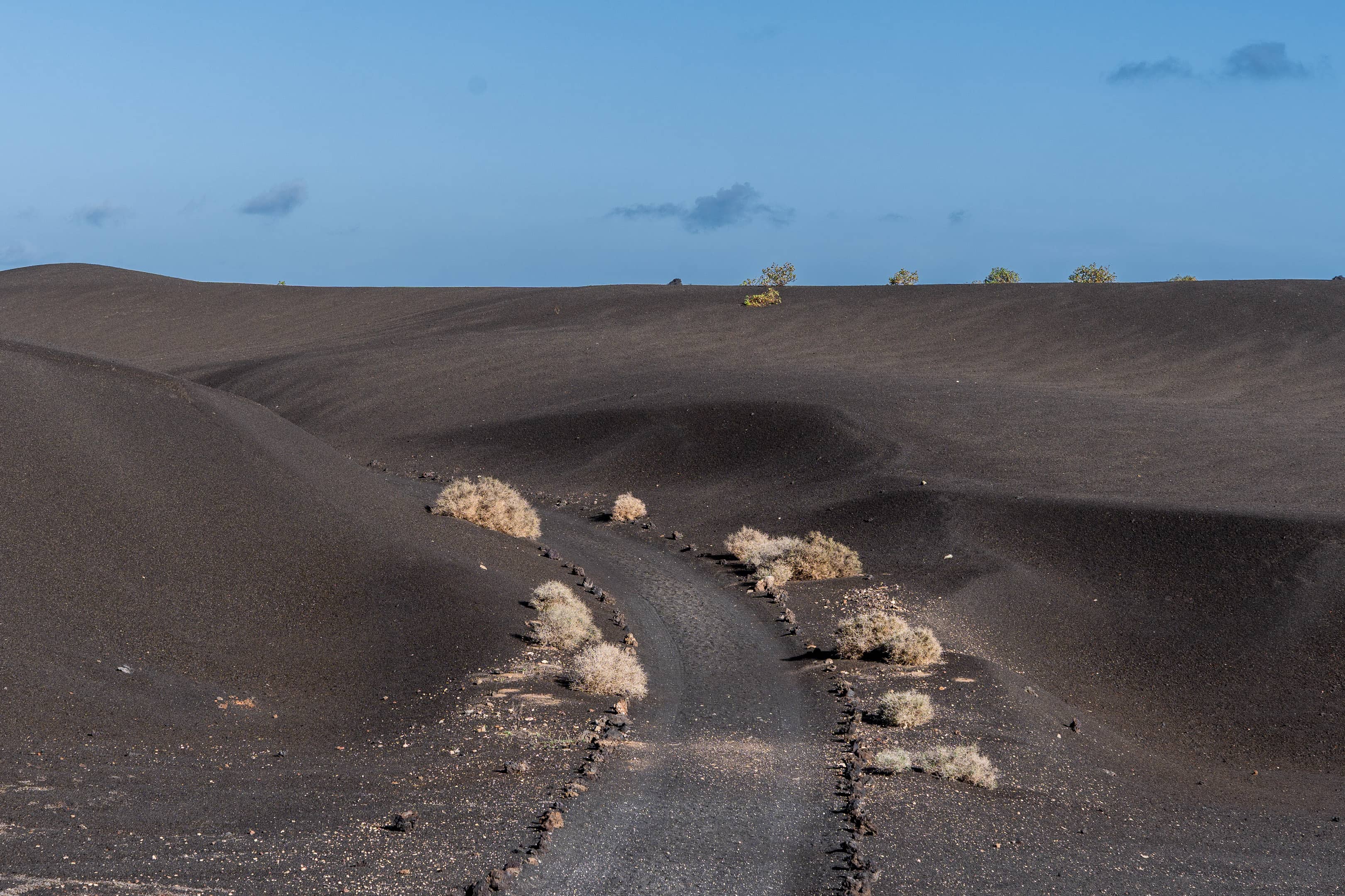 Outdoor Trail Exploration