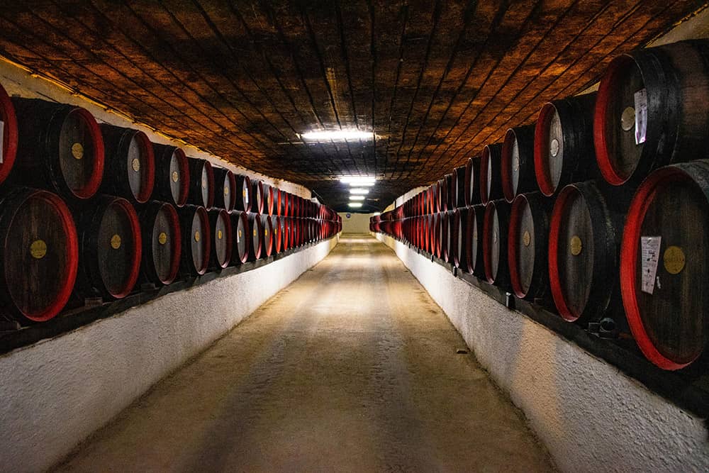 Award-Winning Tempranillo