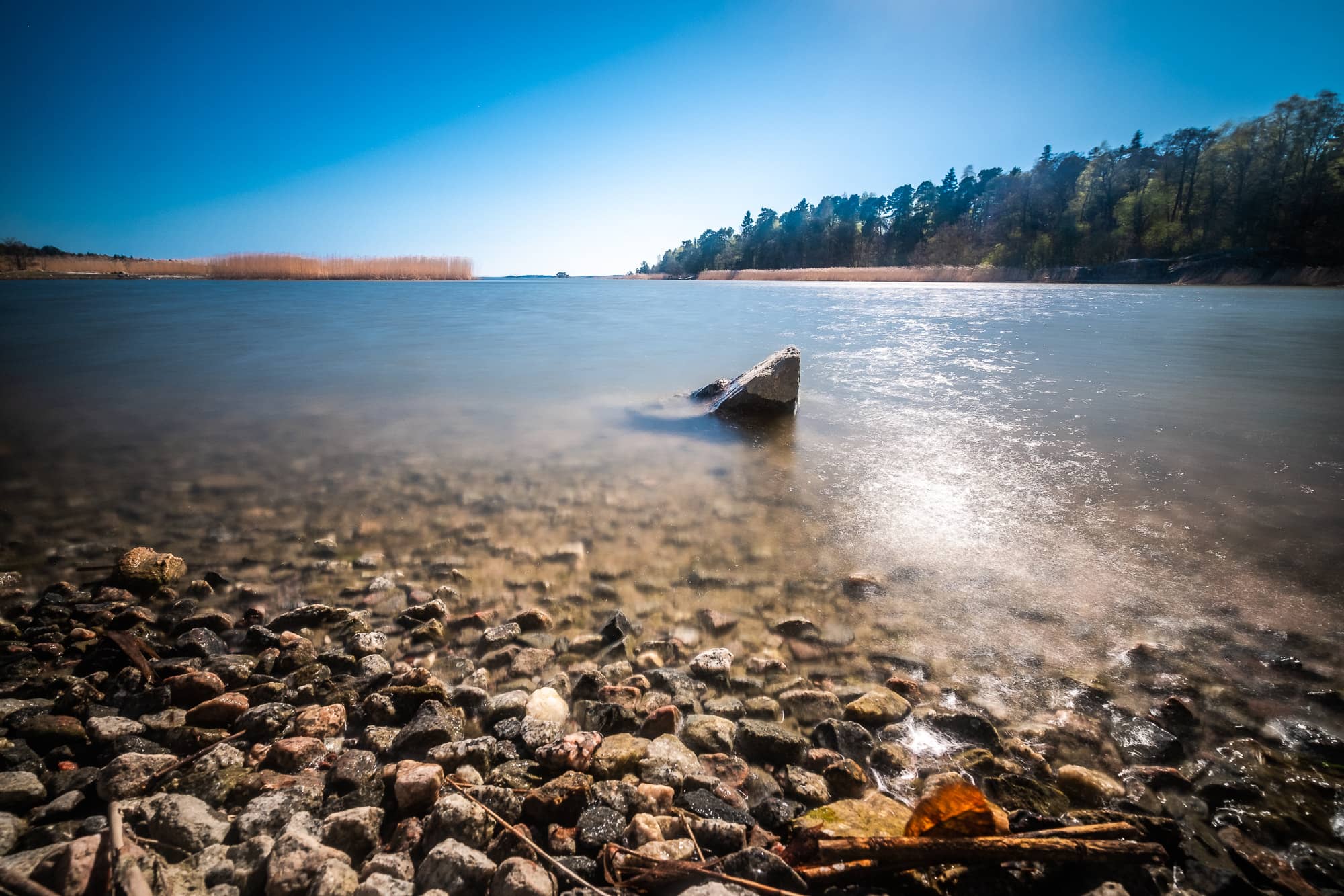 Lush Natural Scenery