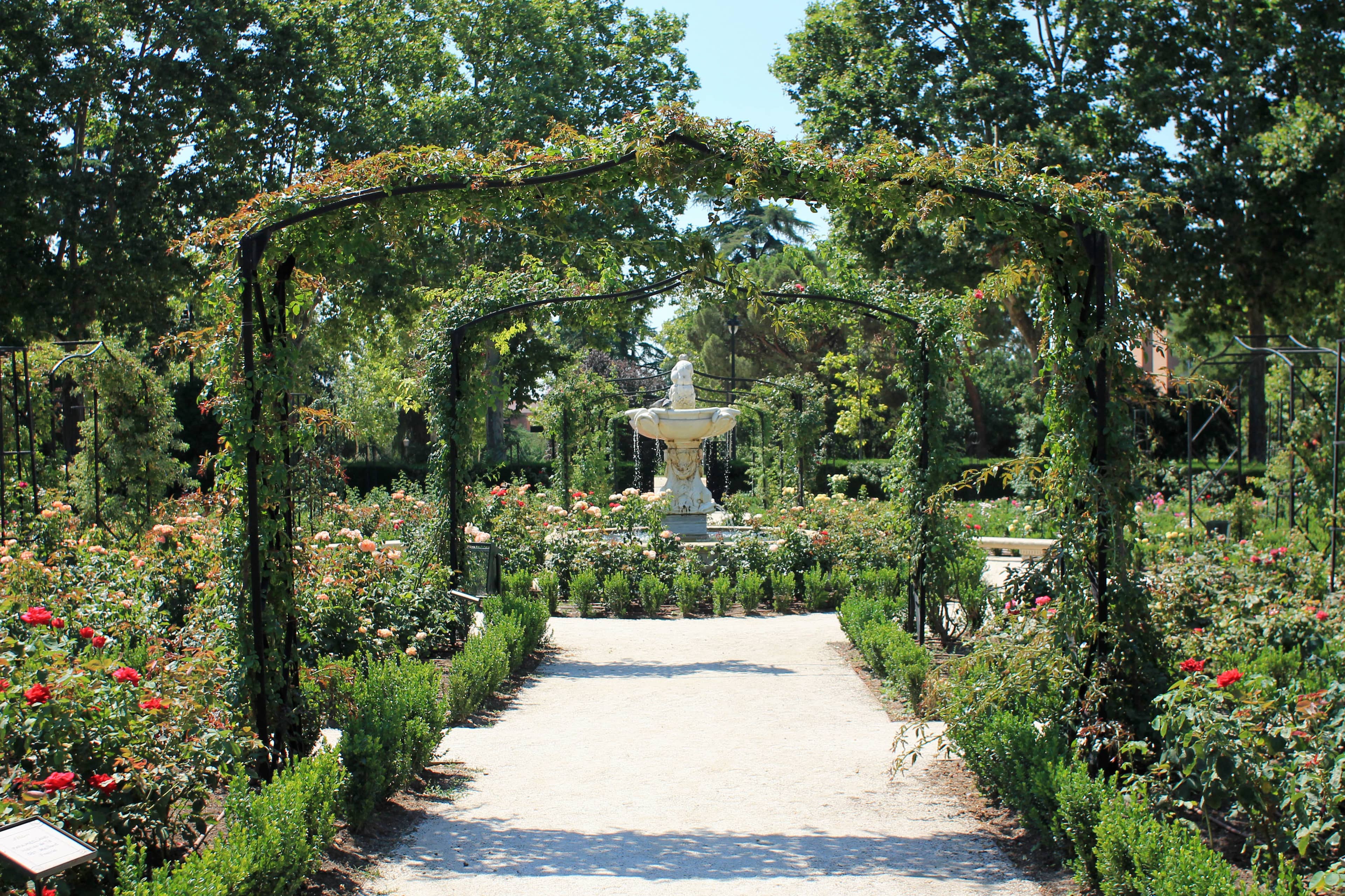 Rosaleda (Rose Garden)