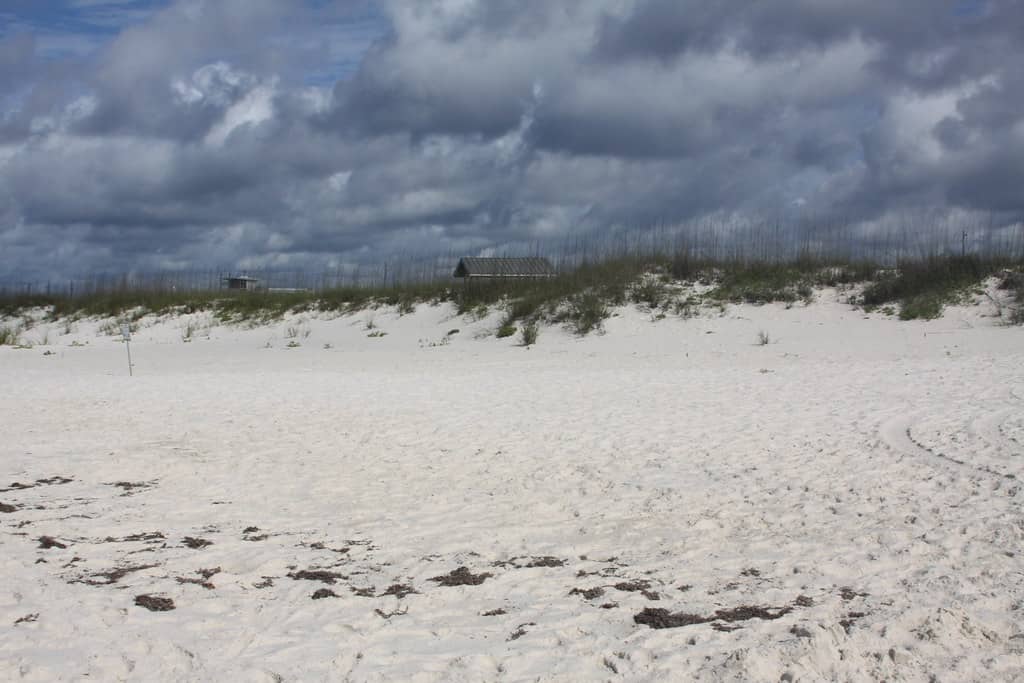 Abundant Wildlife Viewing