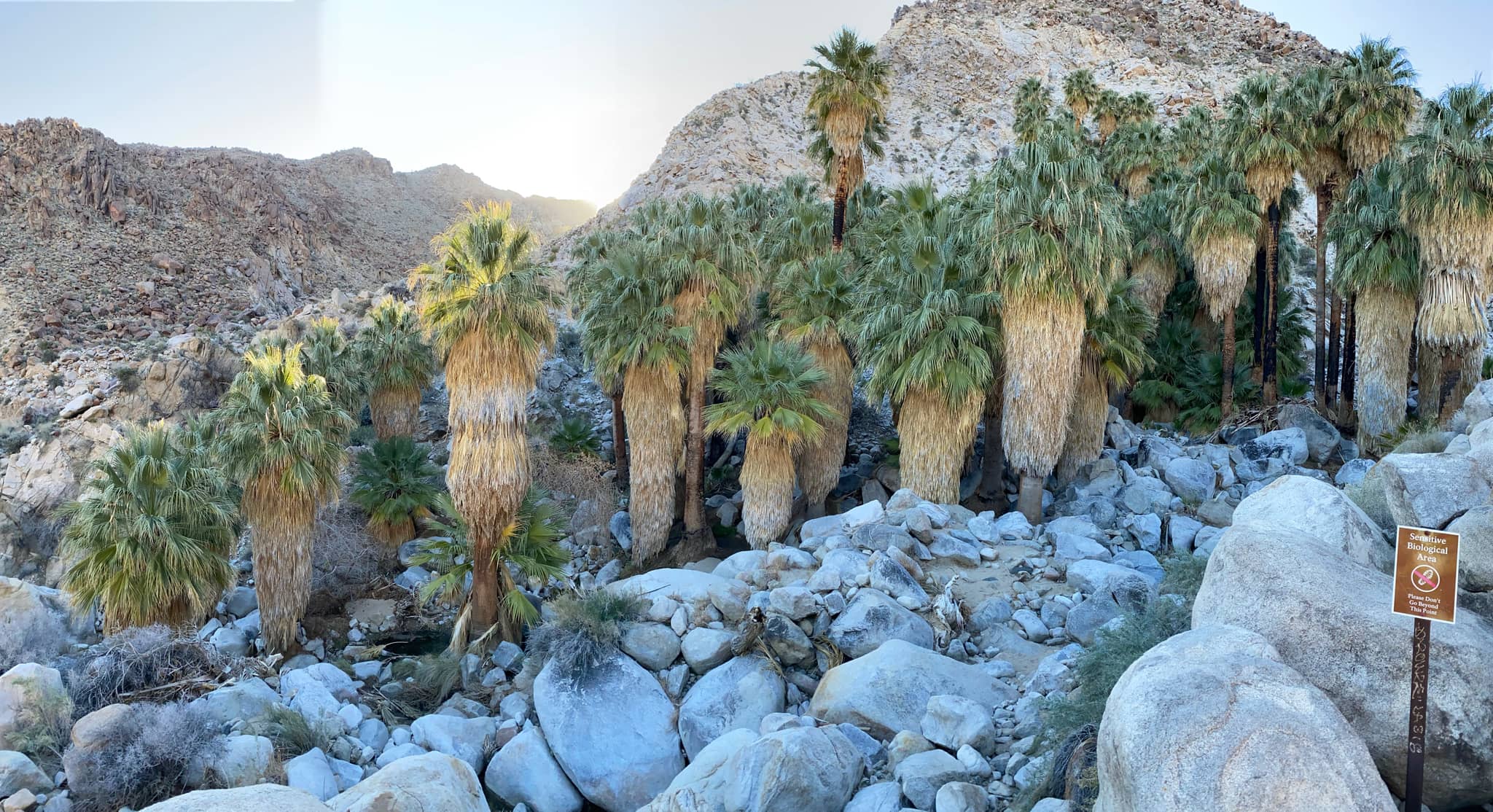 Hidden Oasis