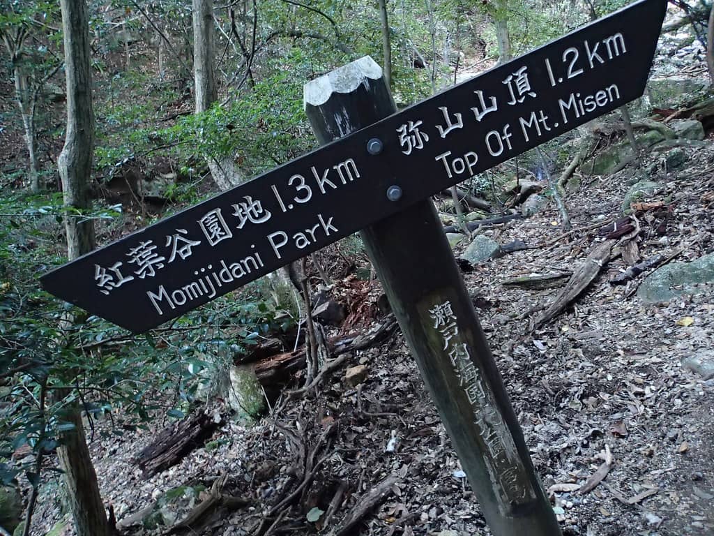 Optional Mountain Hikes