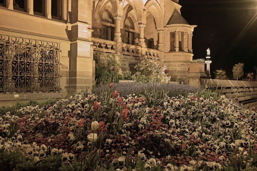 Manicured Gardens