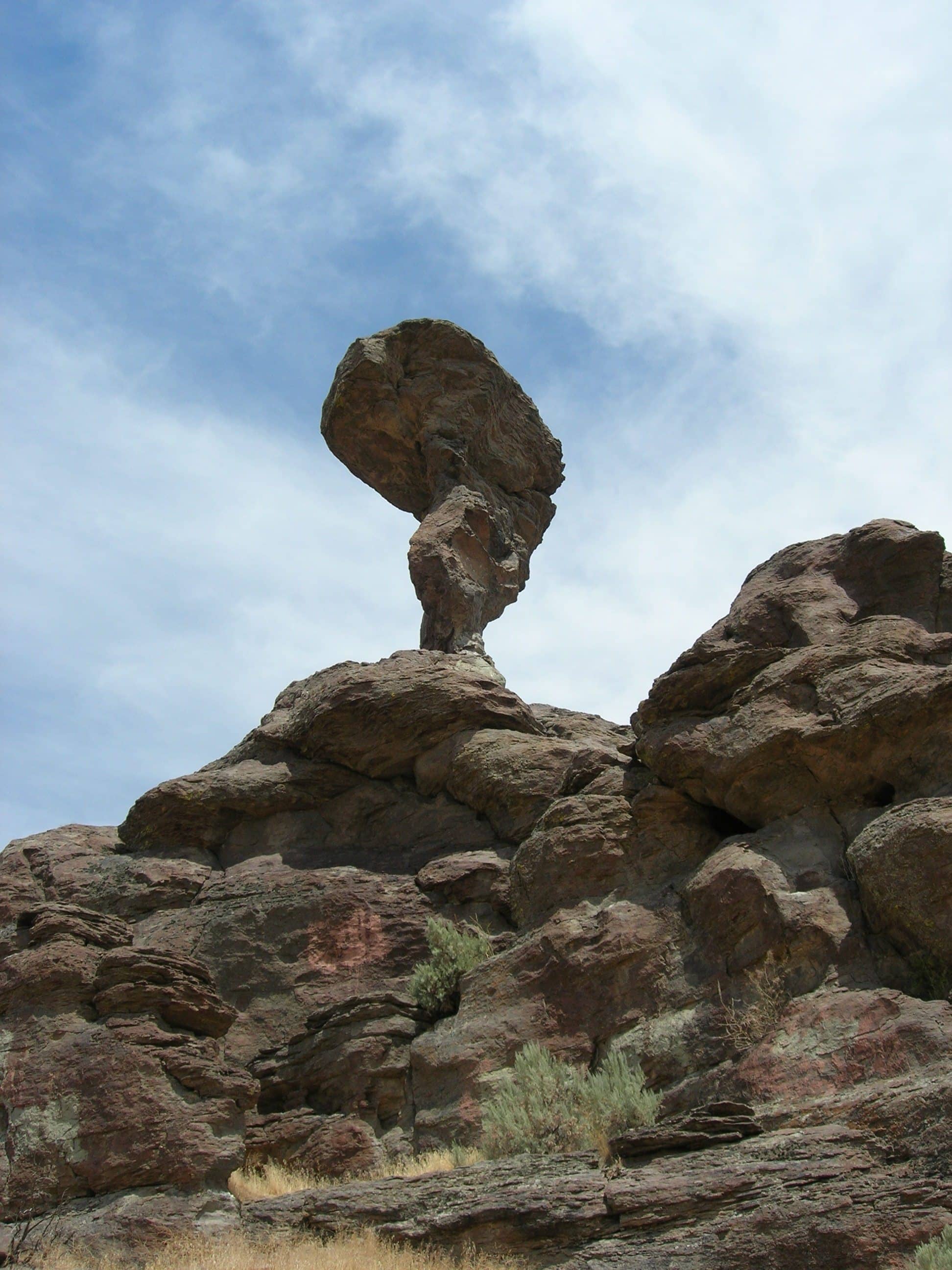 Nature's Balancing Act