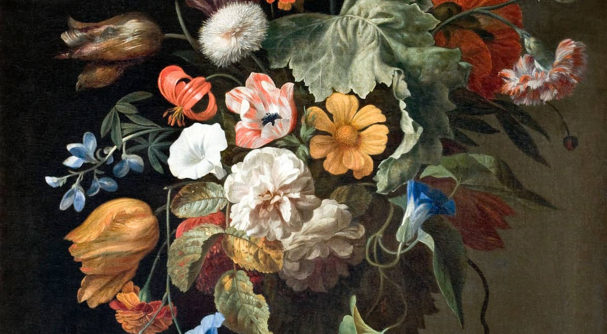 Art Collection