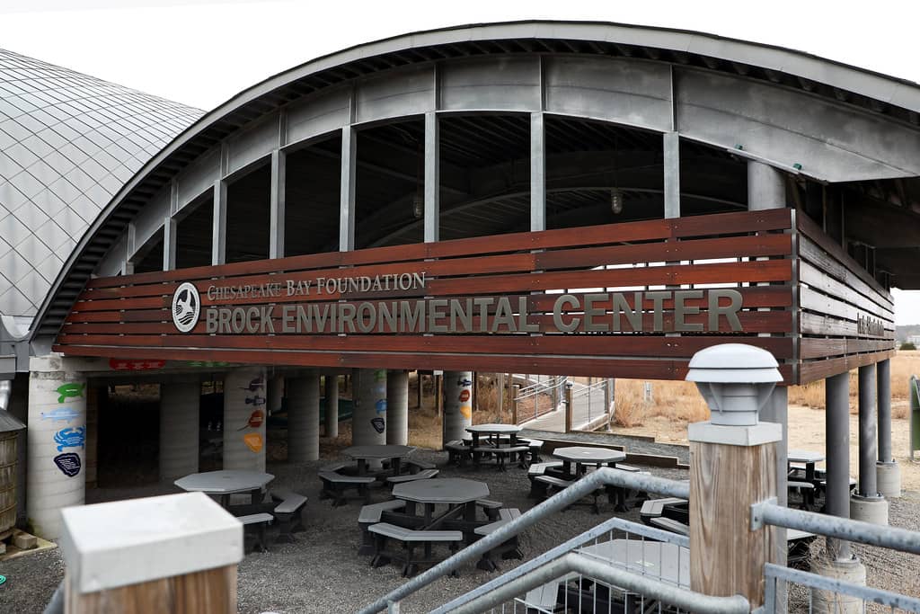 Peaceful Bayfront Trail