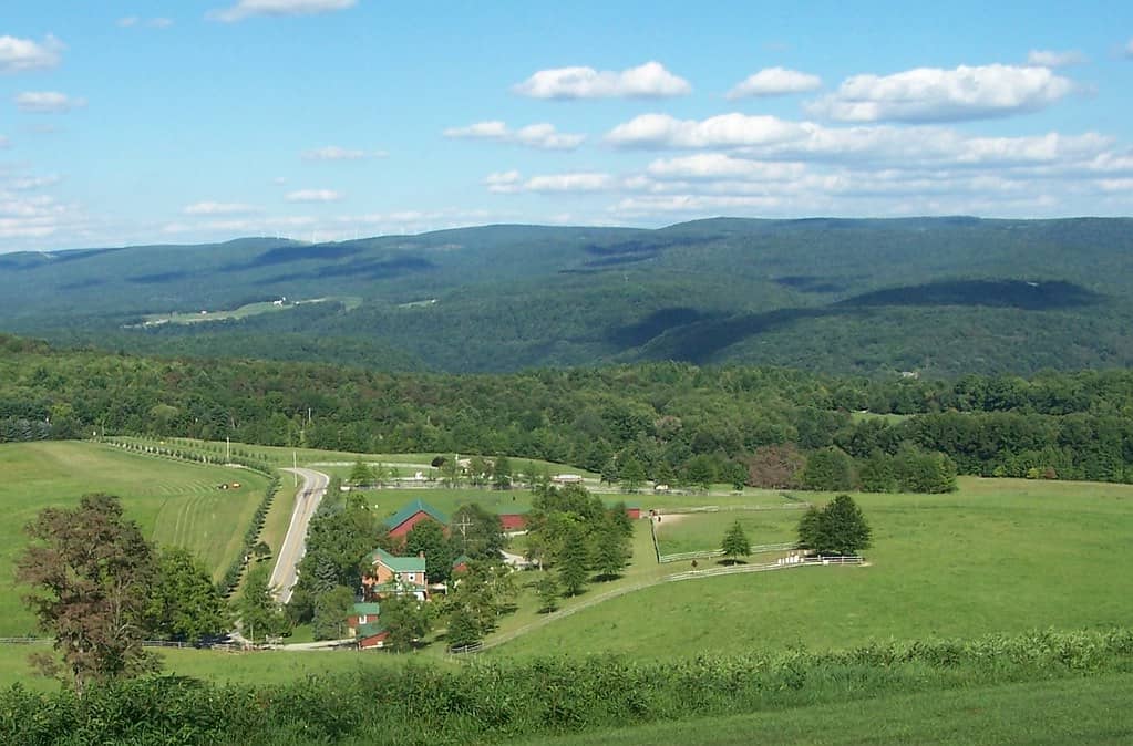 Scenic Hillside Views