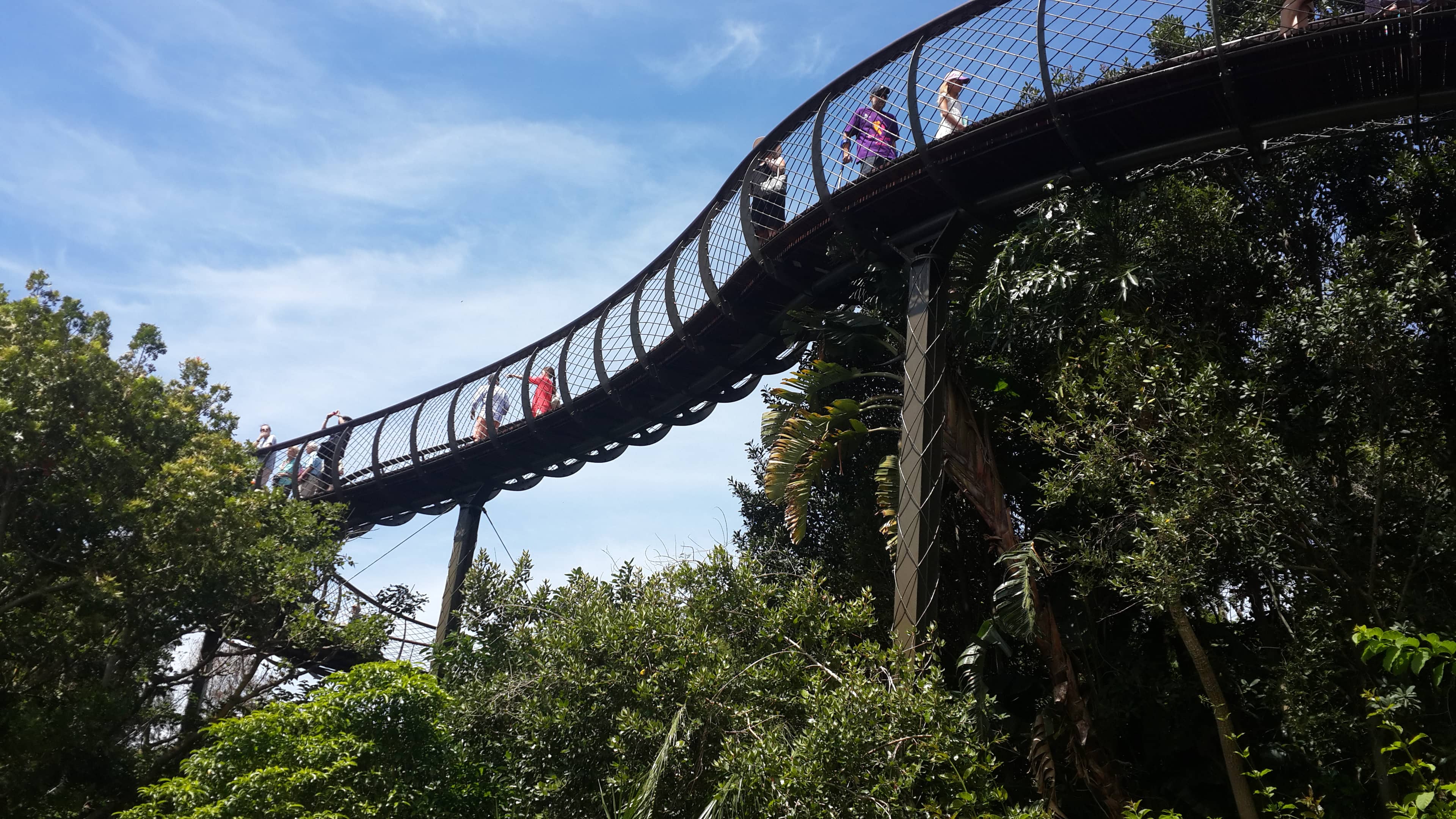 Centenary Tree Canopy Walk