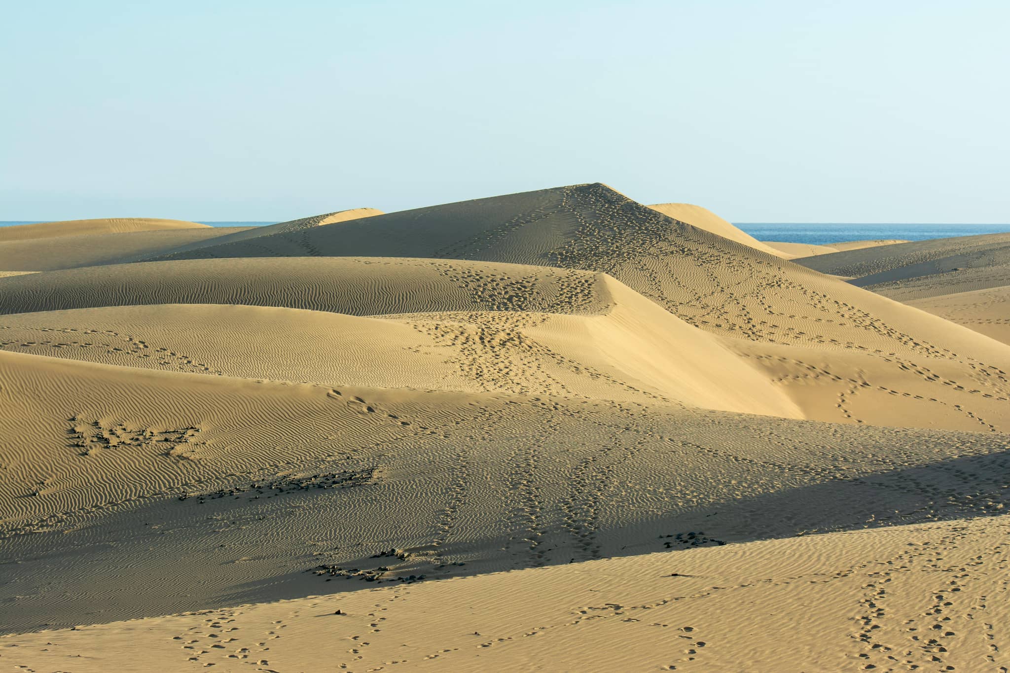 Maspalomas Dunes