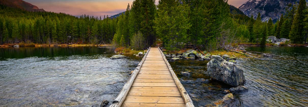 Wildlife & Nature Area