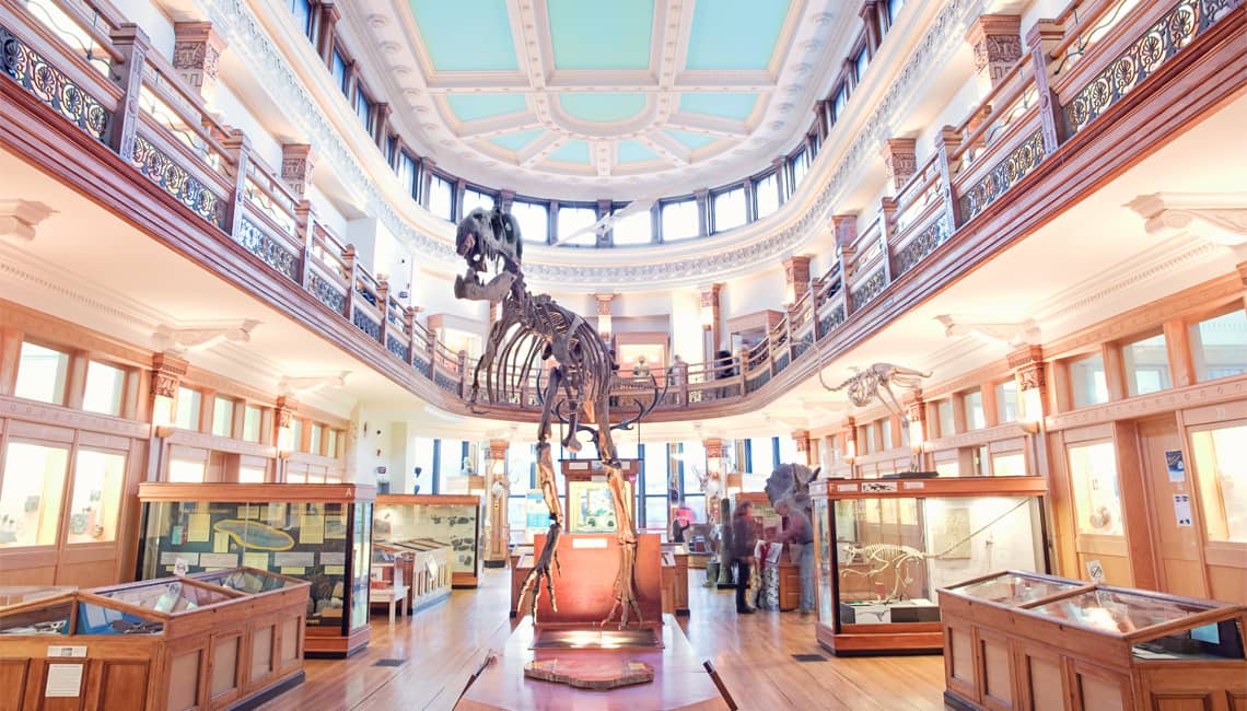 World Cultures Gallery