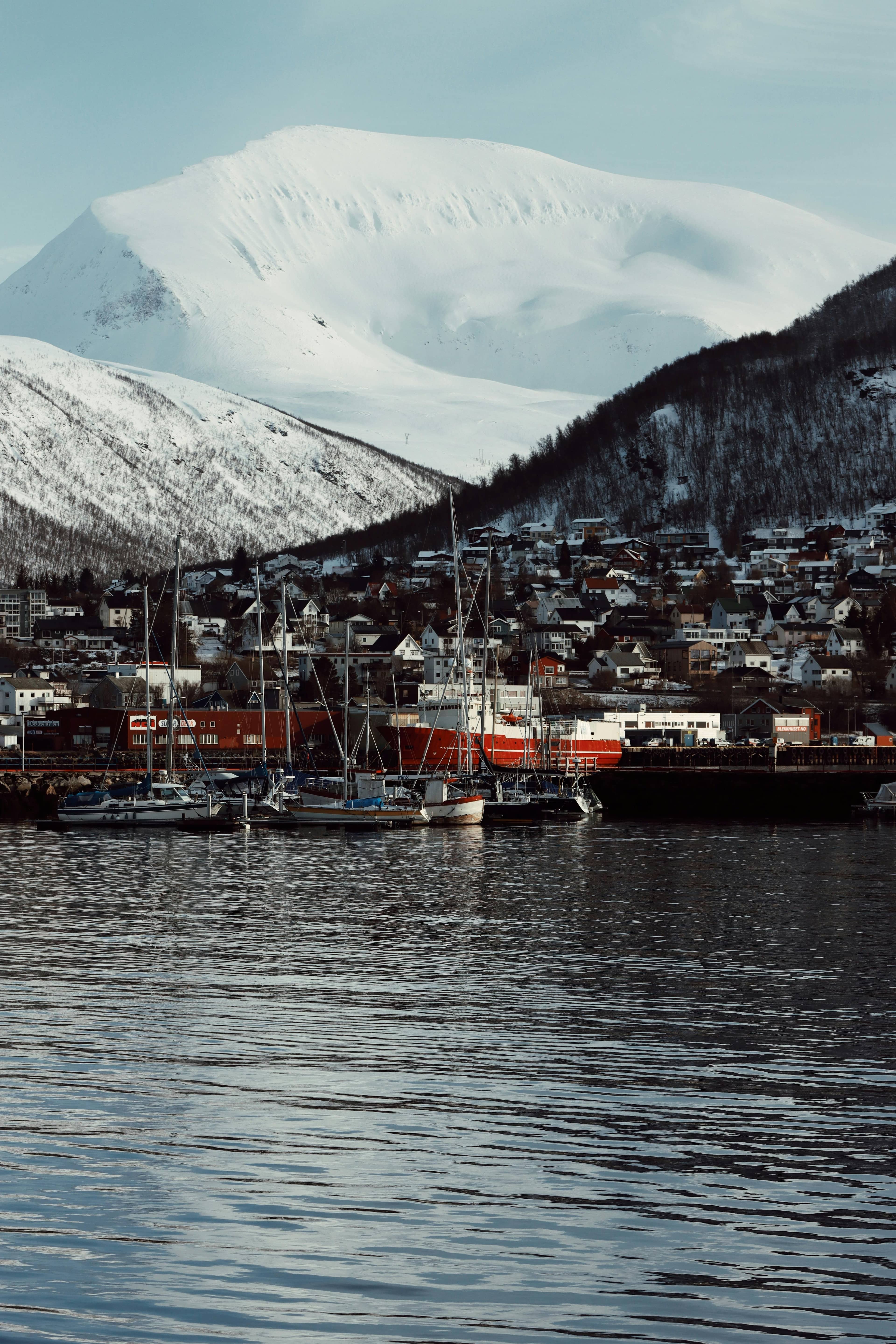 Arctic Harbour Views