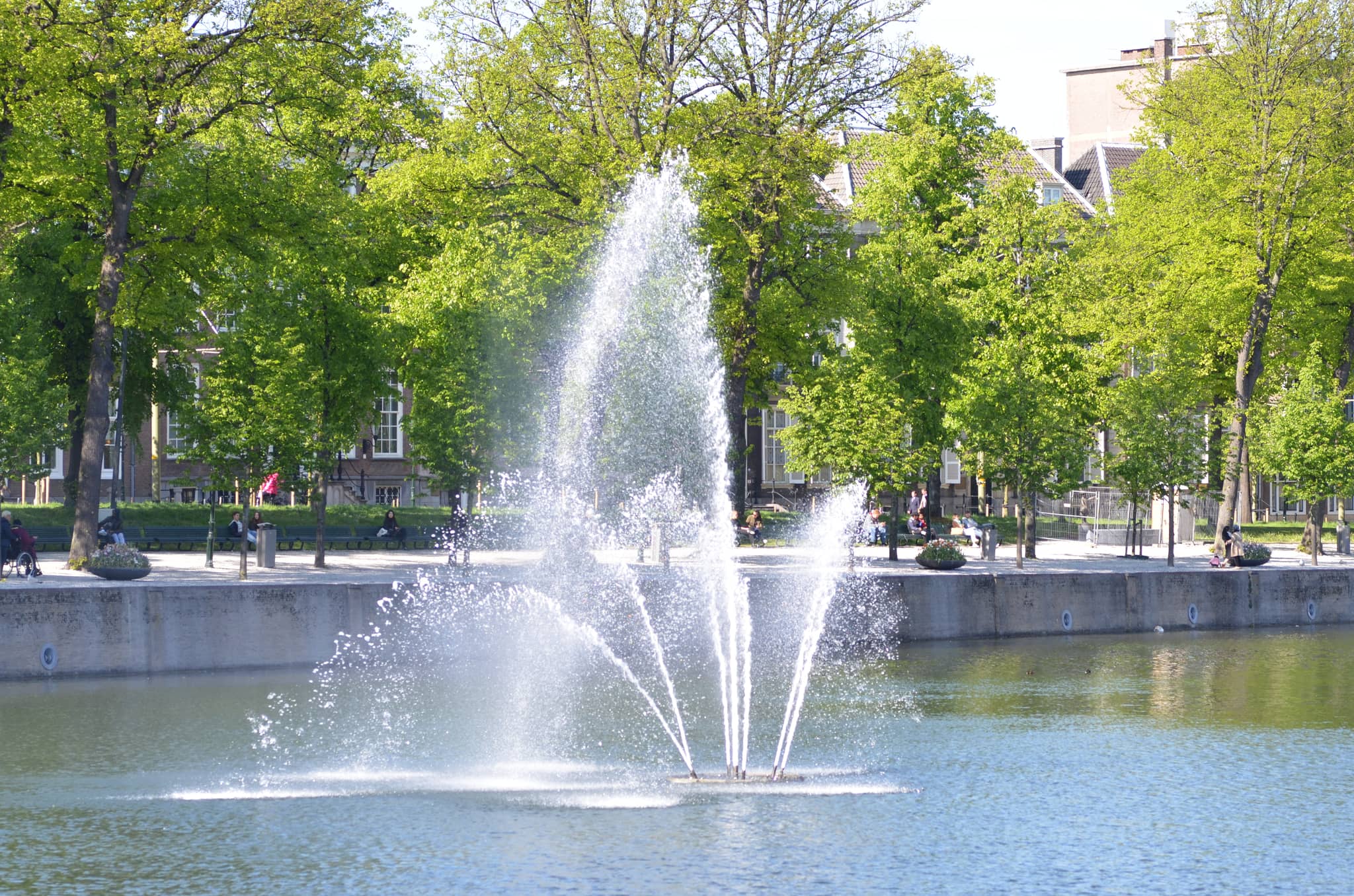 The Fountain