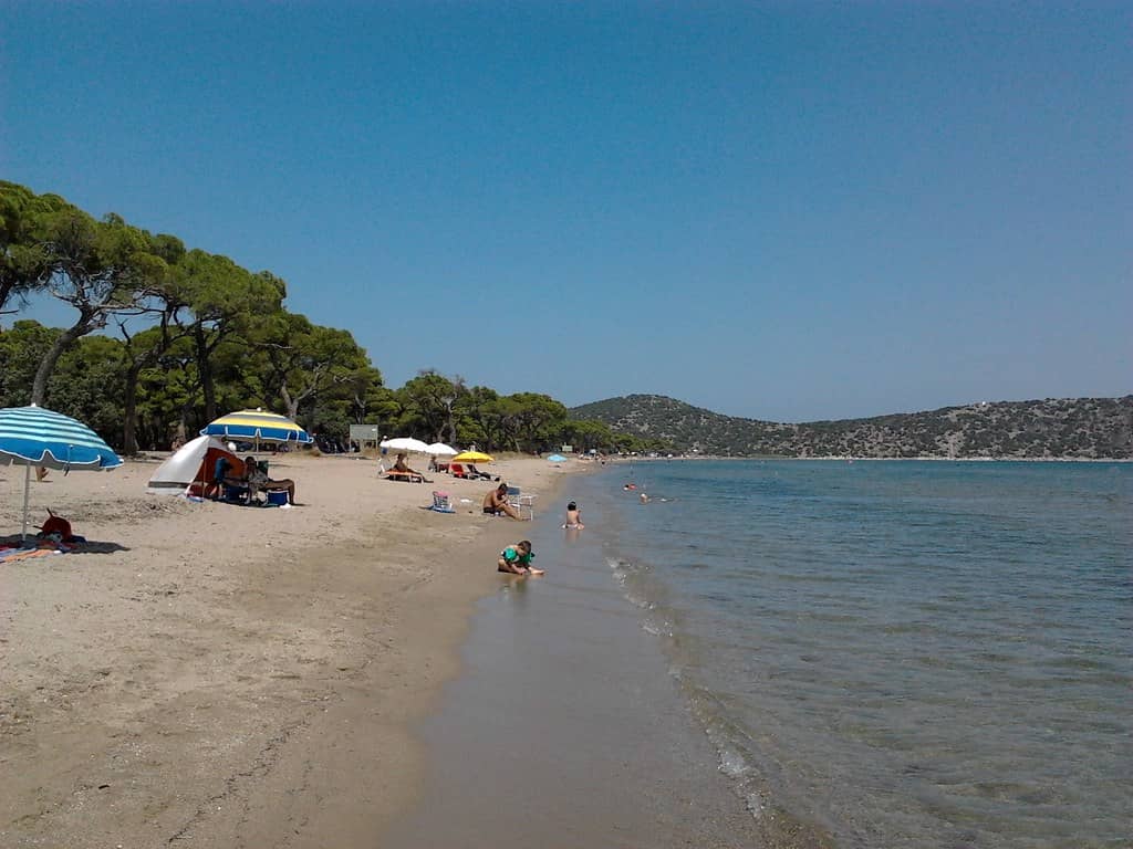 Marathon Beach