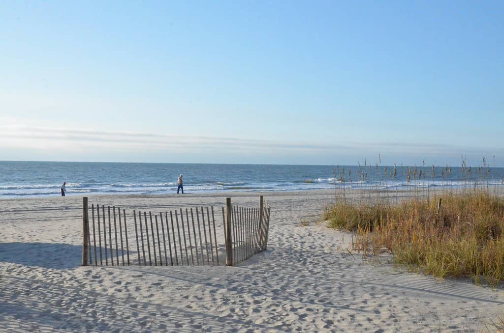 Pristine Sandy Shores