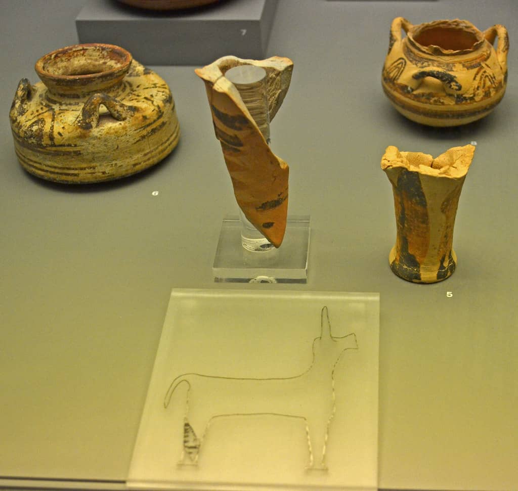 Prehistoric & Antiquity Collections