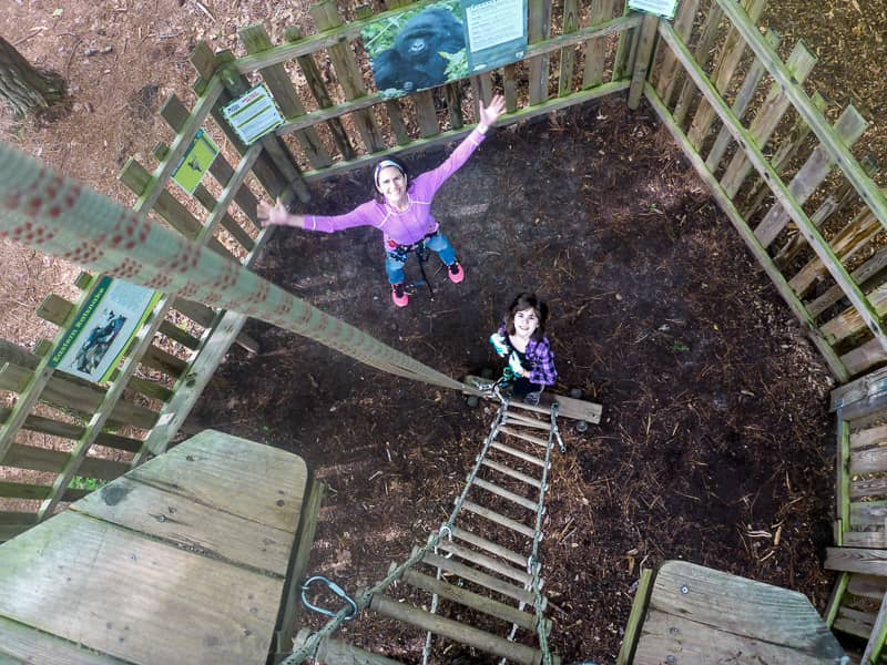 Zip Line Adventure