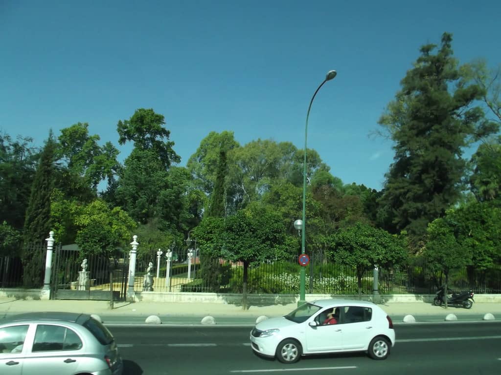 Local Community Experience